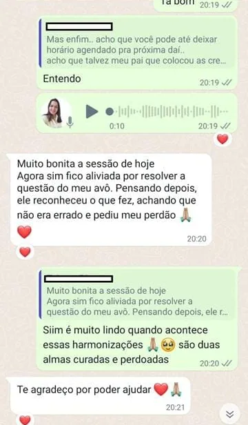 Print de WhatsApp: relato de cliente da Fran Dorow