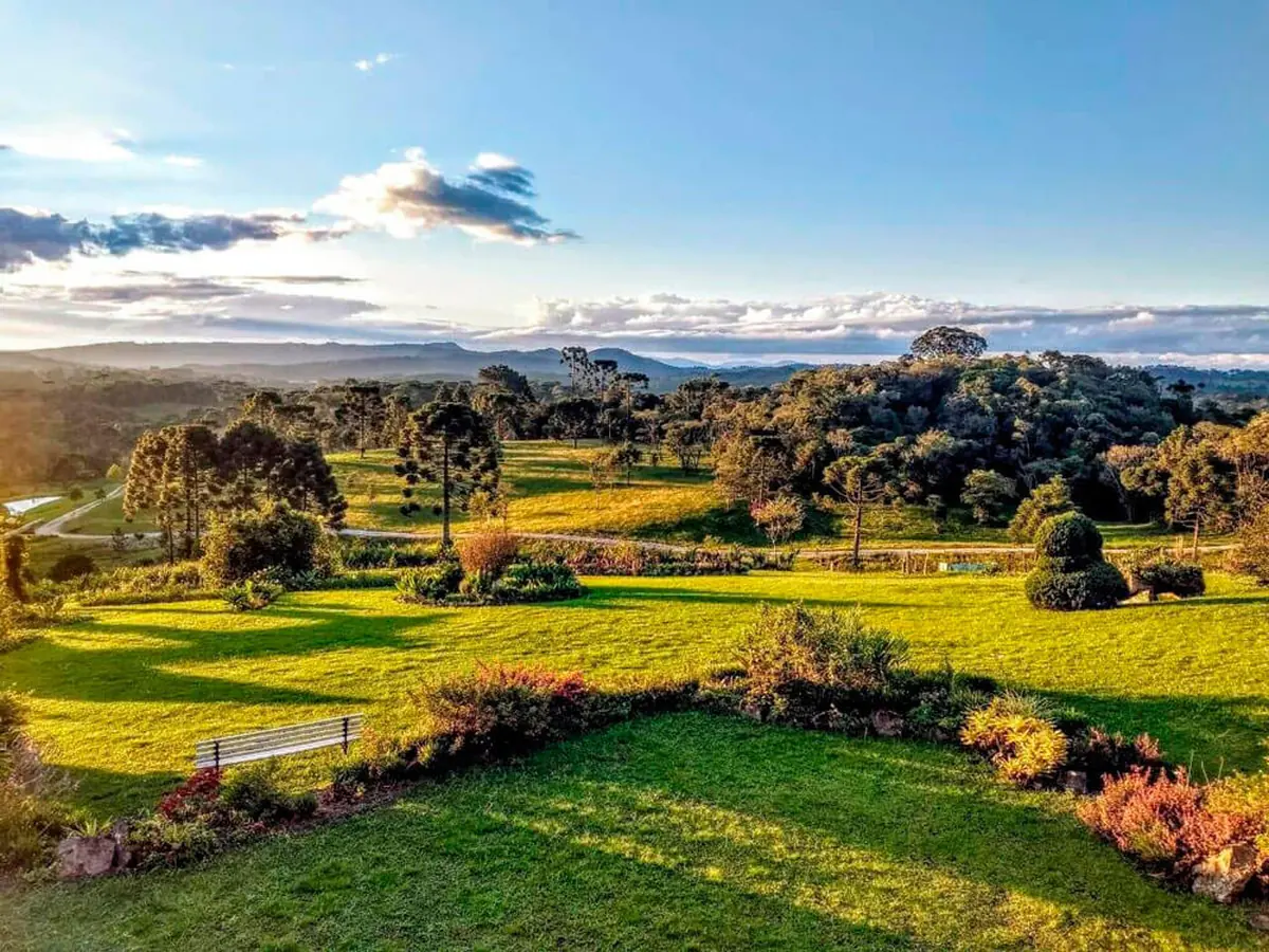 Vista ampla do campo e das araucárias ao entardecer, no local do retiro