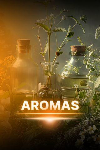 Comunidade Eu Sou 5(19)