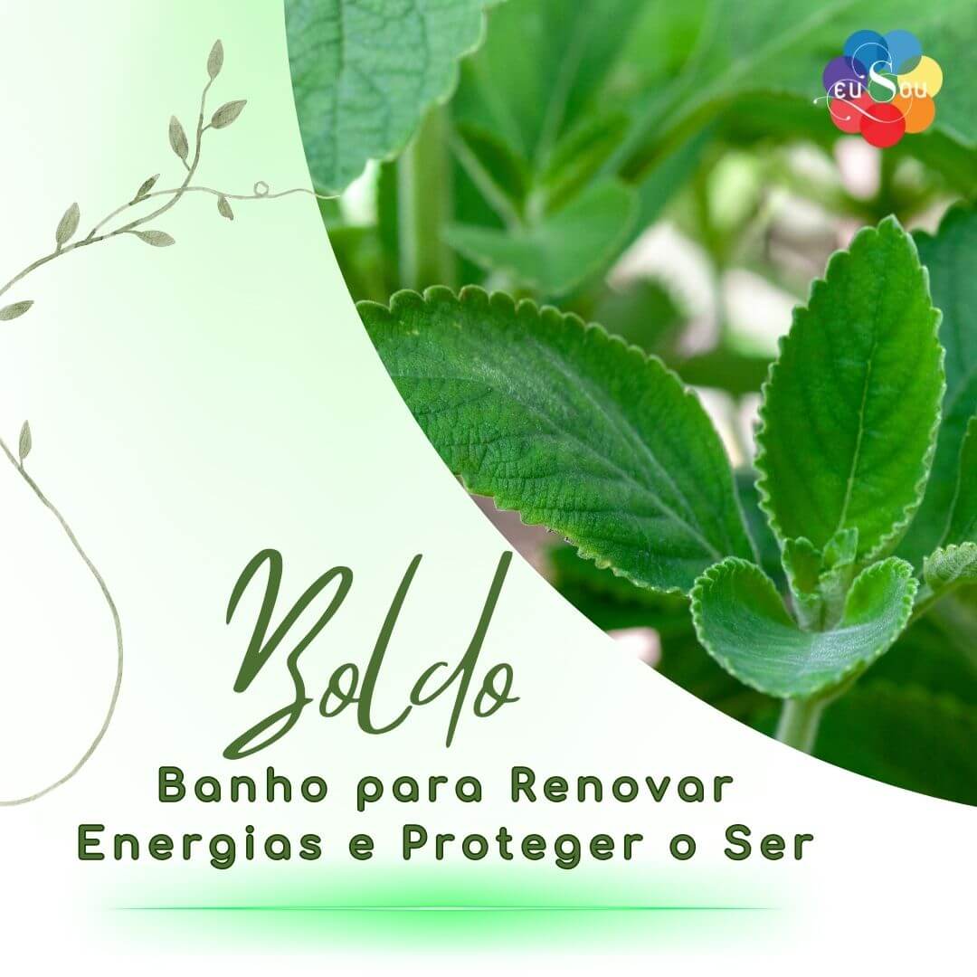 Post blog boldo